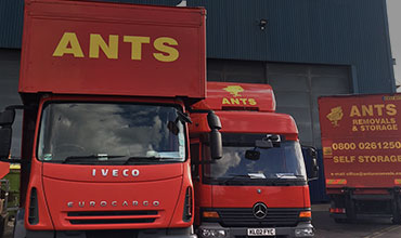 Ants Removals international removals truck fleet